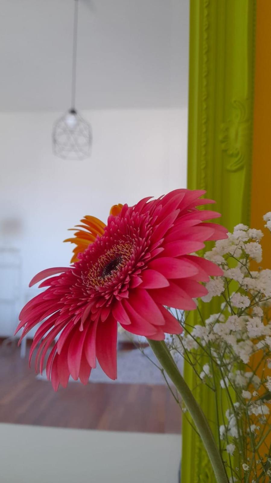 Sole Amare Guest House 바리 외부 사진